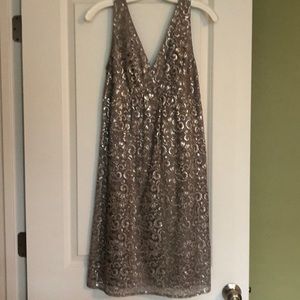The Limited Silver and Gray Vneck Dress